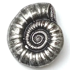 Nautilus Shell Button, Silver Metal Shank Back 15/16" #SK-866