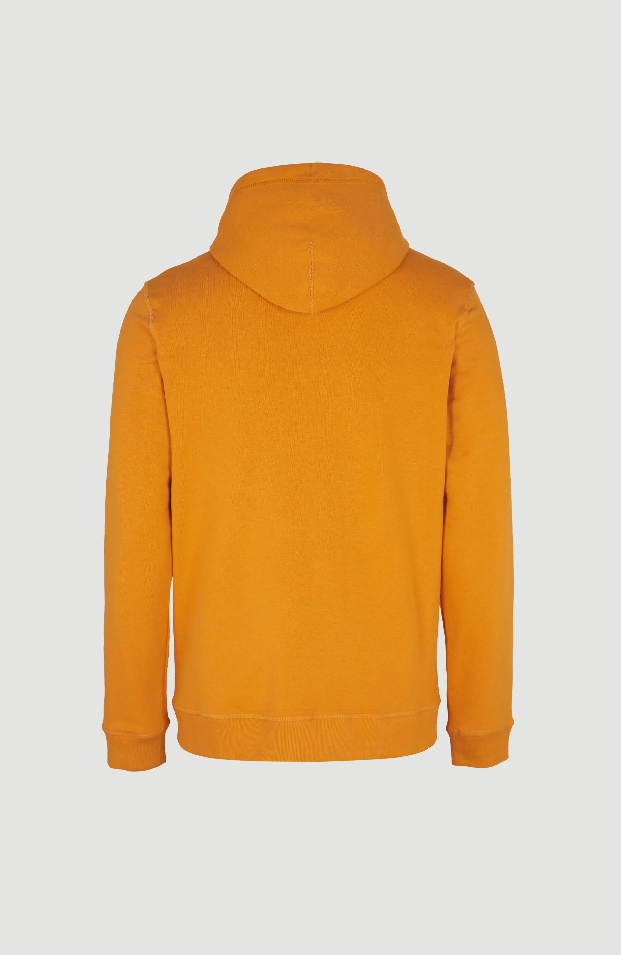 O'Neill Logo Hoodie | Nugget