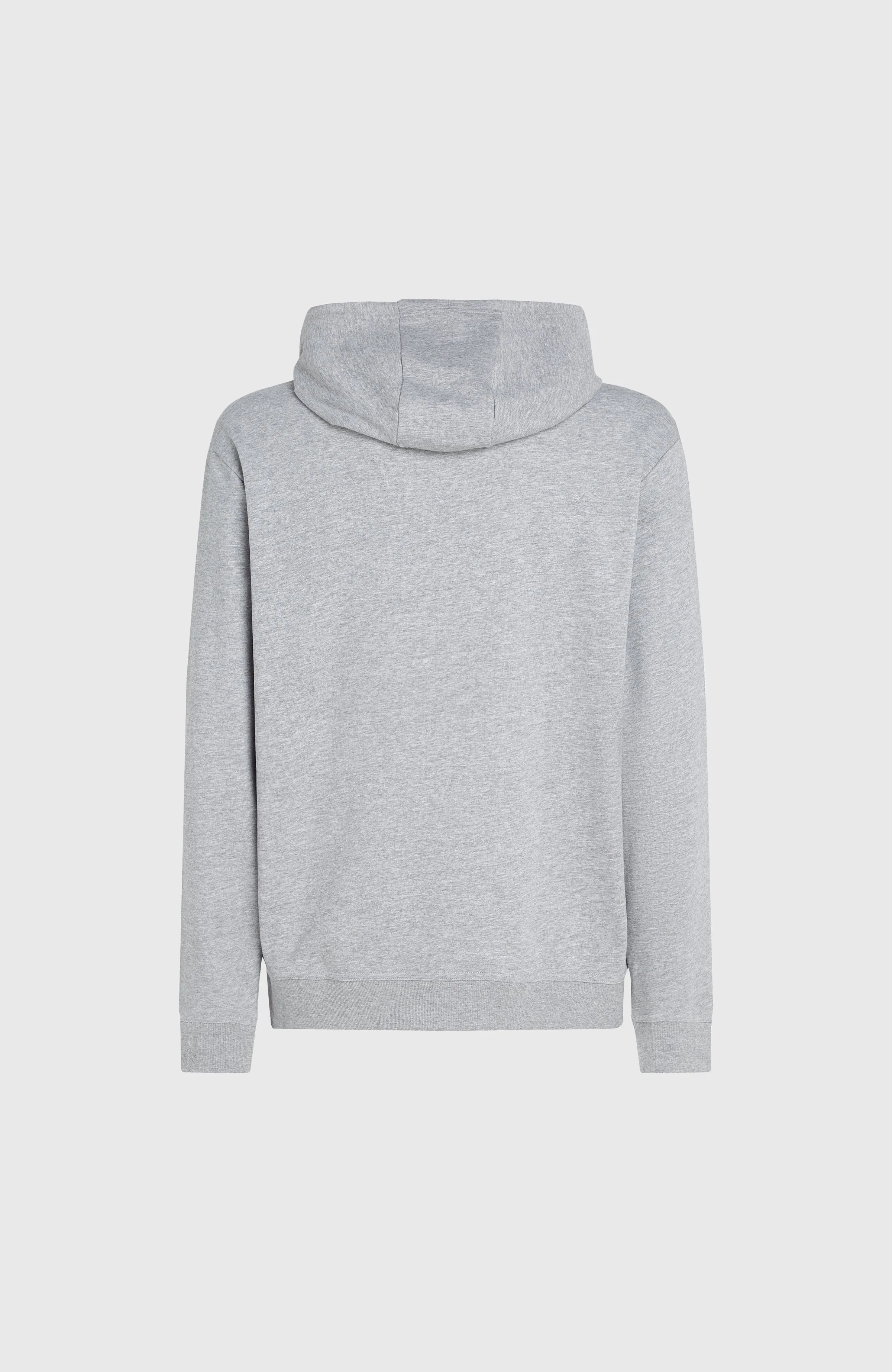 O'Neill Small Logo Hoodie | Silver Melee