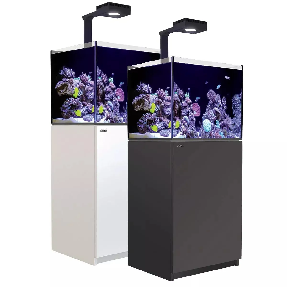 Reefer MAX 170 G2  System (33 Gal)