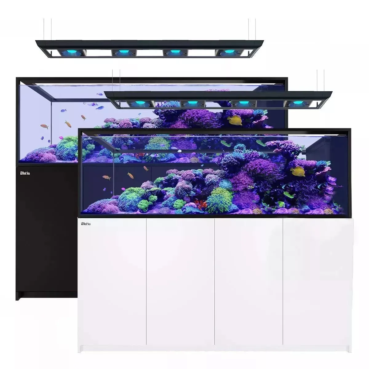 Reefer MAX Peninsula S-950 G2  System (200 Gal)