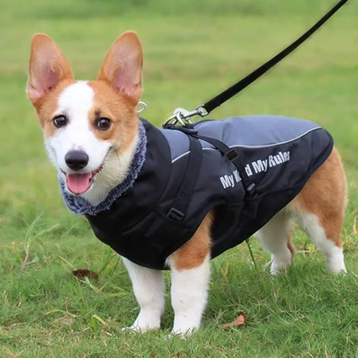 Warm & Waterproof Winter Jacket for Dogs with Built-in Harness