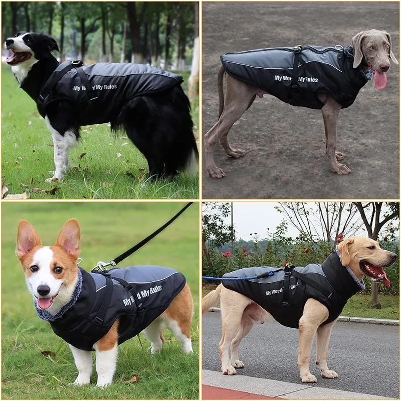 Warm & Waterproof Winter Jacket for Dogs with Built-in Harness