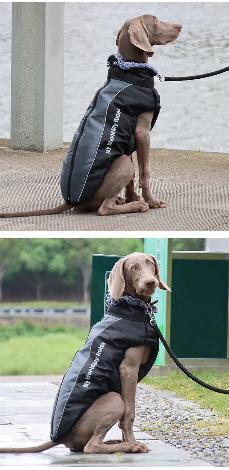 Warm & Waterproof Winter Jacket for Dogs with Built-in Harness