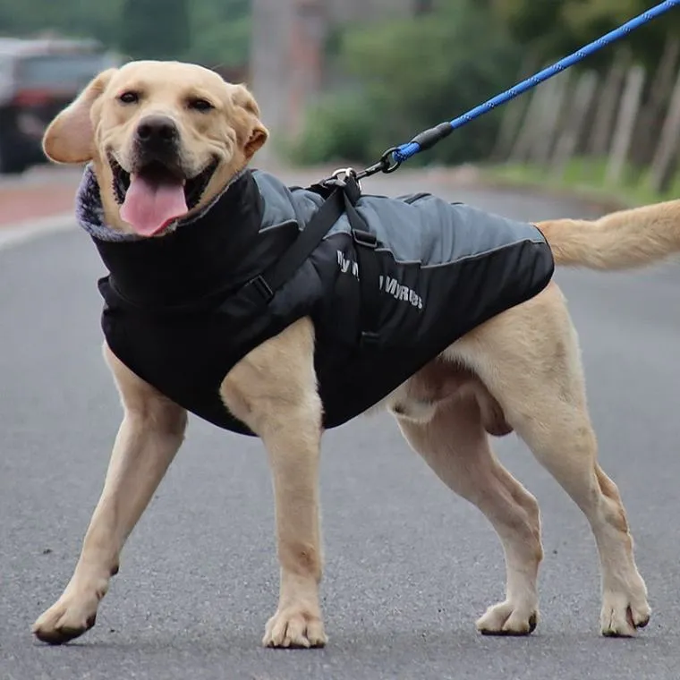 Warm & Waterproof Winter Jacket for Dogs with Built-in Harness