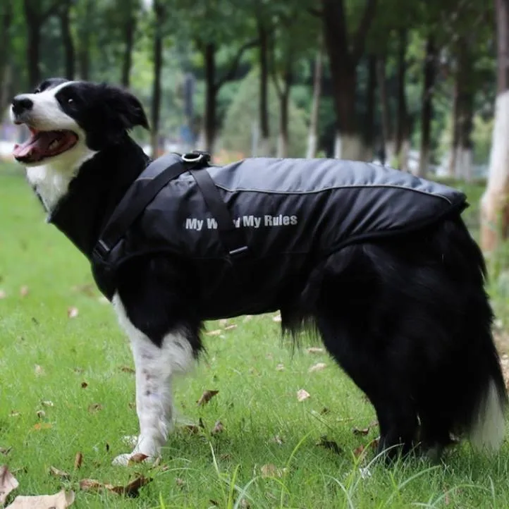 Warm & Waterproof Winter Jacket for Dogs with Built-in Harness