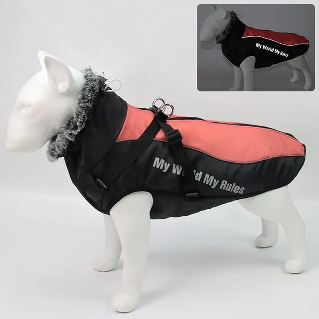 Warm & Waterproof Winter Jacket for Dogs with Built-in Harness